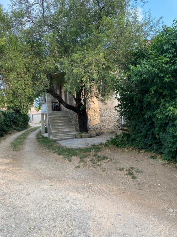 Maison A 20 Min Des Plages De Sainte Maxime Le Muy Eksteriør bilde